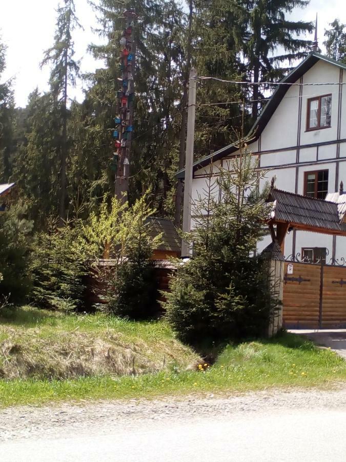 Inn Galushko Mykulychyn