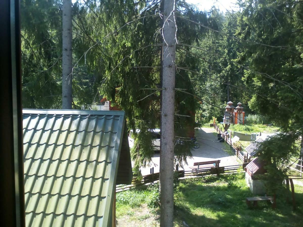 Inn Galushko